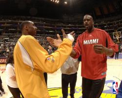 kobe shaq handshake 342647 480 art R0